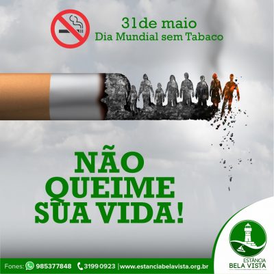 Tabaco: saiba mais sobre os danos causados pelo uso